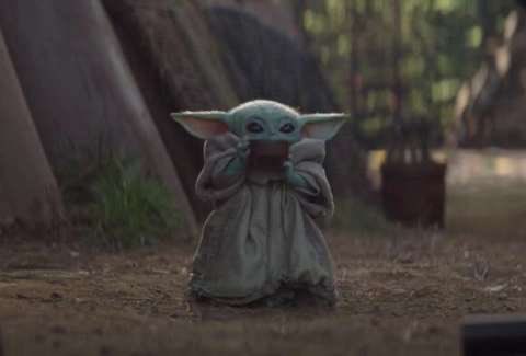 Fox Farm Brewery tweet media