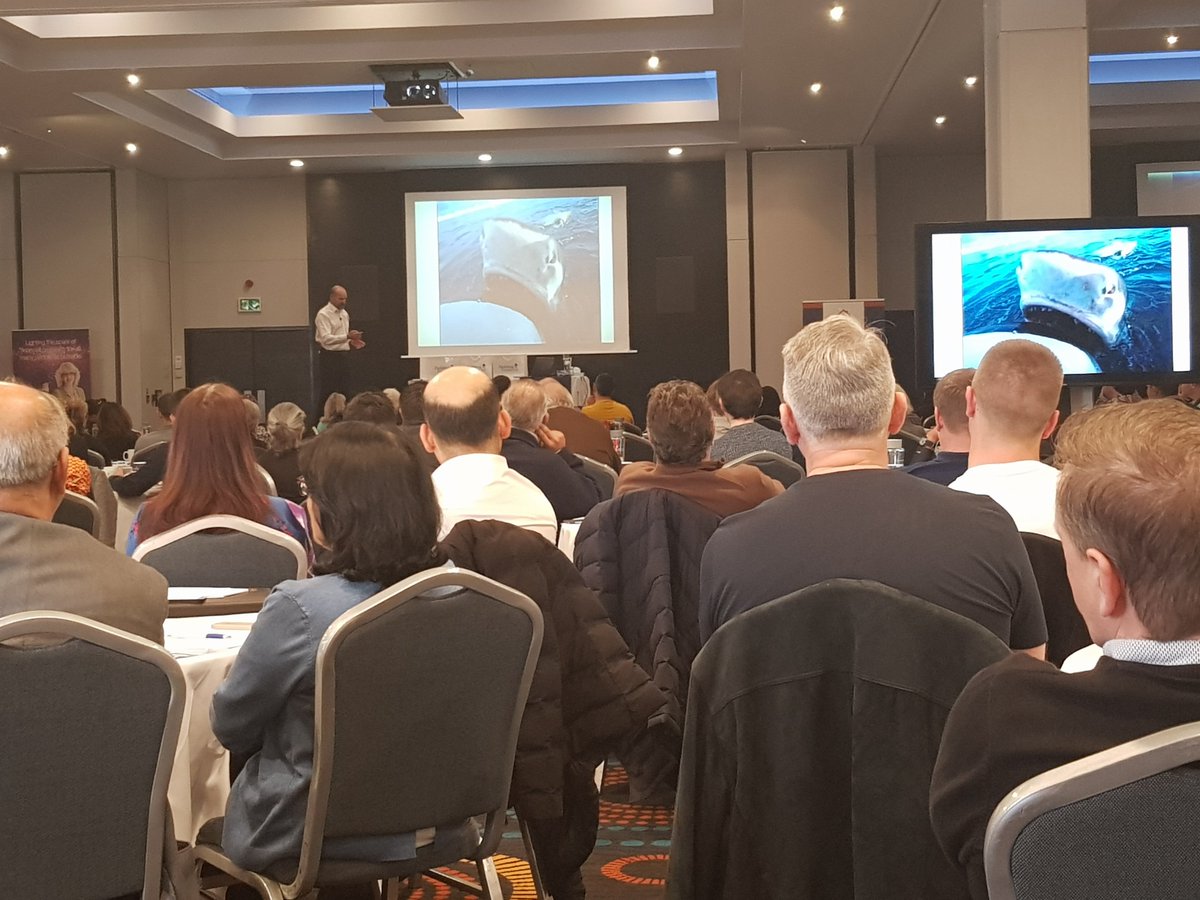 peplows_uk's tweet image. Fascinating talk by @MontyHalls at #pathtoahalf - shark tagging!