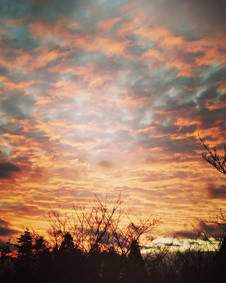 Takashi Watanabe En Twitter 今日の夕日 夕日 空 夕焼け 雲 景色 壮観 奇跡 Sky Sunset 冬 写真 Photograghy 黄昏 Beautiful Scenery Cloud Miracle Relax Spectacular T Co Ixnb78tamt