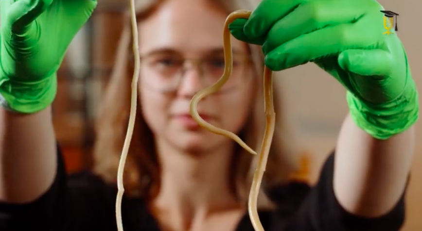 When the goals of deworming programs will shift from morbidity control to transmission interruption and elimination, diagnostics will play a critical role.
I am very proud to be part of this challenge. Check out: sciencefiguredout.be/drop-blood-fig…
<a href="/UGent_VetMed/">UGent VetMed</a> <a href="/FWOVlaanderen/">FWO</a> <a href="/EPHIEthiopia/">Ethiopian Public Health Institute</a>