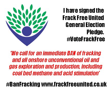 GreenLibDems's tweet photo. CALLING ALL @LibDems General ELECTION CANDIDATES Join @frackfreeunited in their call to BAN all forms of #fracking forever - @joswinson has signed #VoteFrackFree #GE2019 #LetCommunitiesDecide on the #ClimateCrisis https://t.co/lgHScZcNes @OliHenman @LibDemLaura @JohnWrightLD https://t.co/4XmqMv69KW