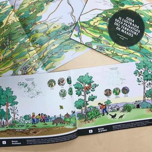 Territori de Masies tweet media