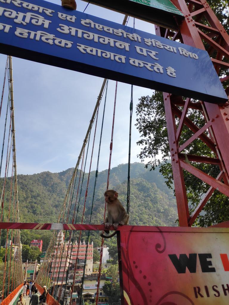 traounomad's tweet photo. #Reshikesh #Inde #Voyage https://t.co/AiIcQIFK6y