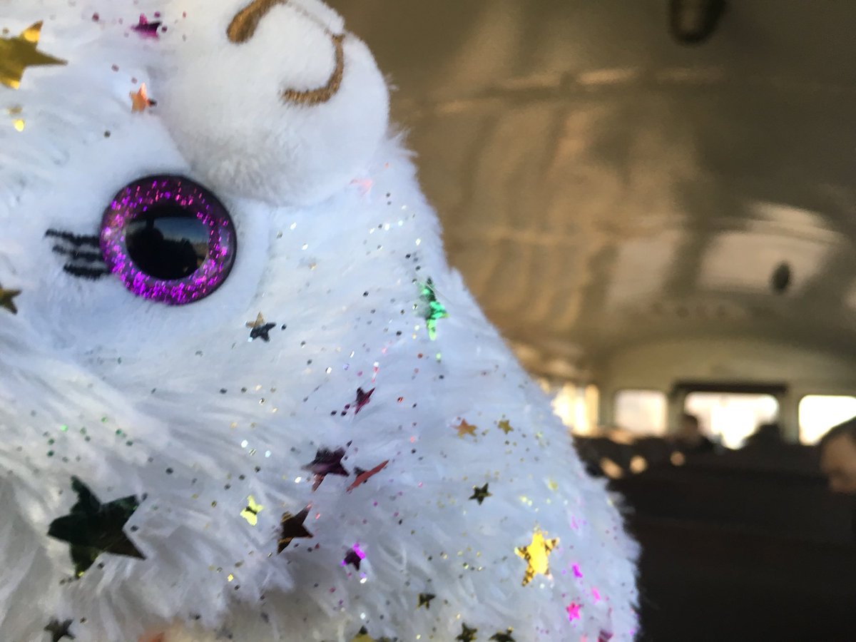 team2408's tweet photo. FTC Meet at McCleur South Berkeley High School. #beeepboop #classictransitmomentsUwU https://t.co/iNLInpZu6E