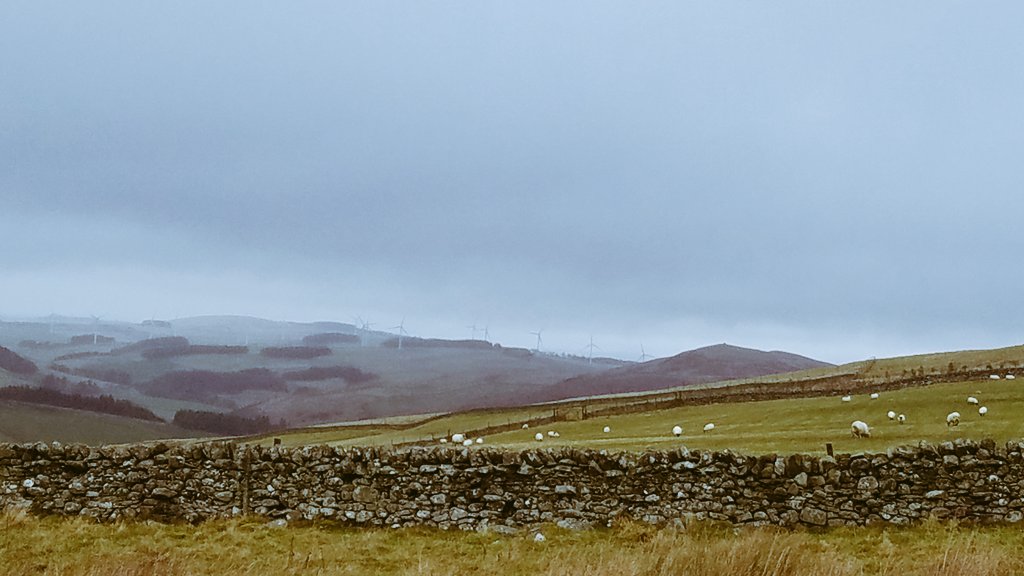 blonde_on_bikes's tweet photo. Wet and windy on the Meigle Circular today #galapaths #clovenfordspaths #scottishborders #walkingtrails #hillwalk https://t.co/T7jeErAapP