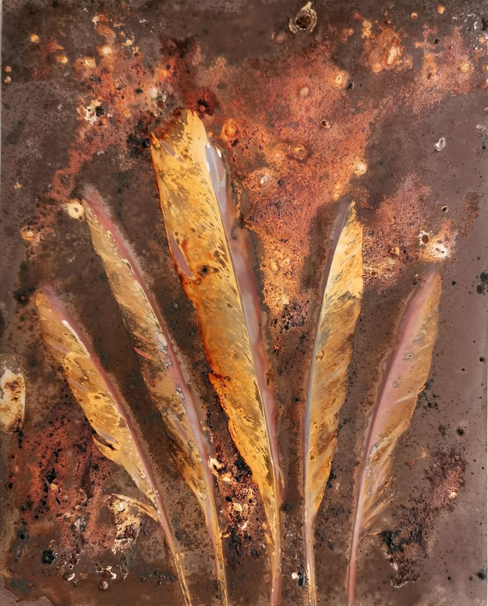 ArtsDarke's tweet photo. This was the 2nd Lumen from the same day as the process shown yesterday. It was a 2 day exposure testing out a bit of a new ingredient... Iron filings amongst others! #lumen #cameraless photography #alternativephoto process #plants#fineart #analogue #vintage #botanical #experimen https://t.co/XnVwkIYpyZ
