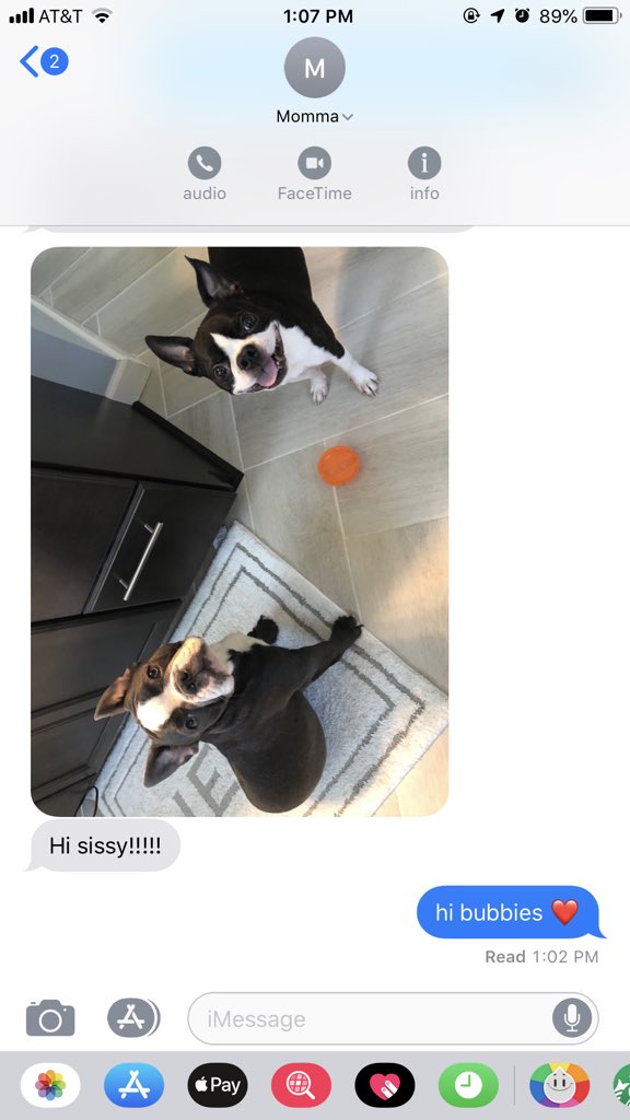 Kendallhhhh's tweet photo. favorite part of my day 🤩 https://t.co/VStEyDcxNy