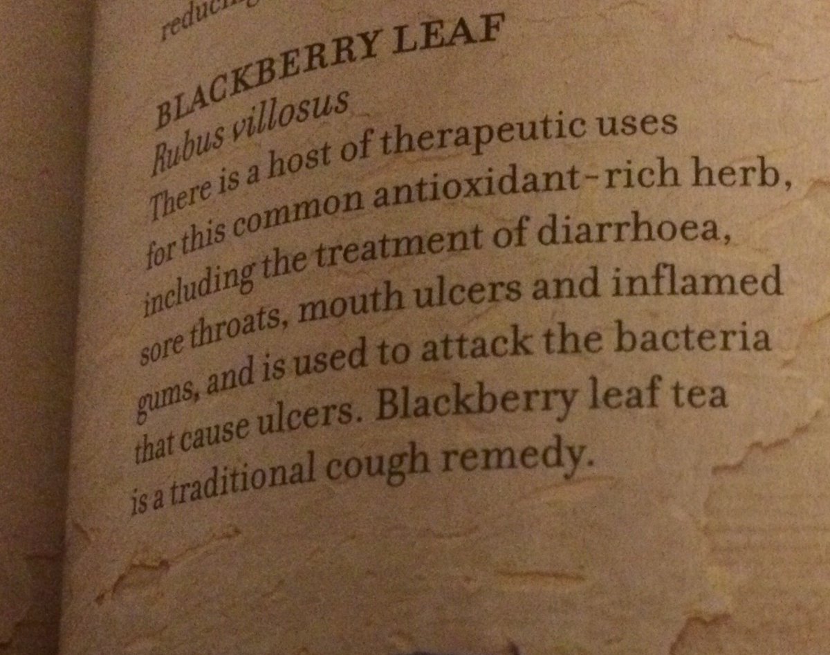 CheekyChai1's tweet photo. The Amazing Health Benefits of #blackcurrenttea ☕️☕️😀❤️☕️#tea #manchester #stockport #stockportmarket #looseleaf #looseleaftea #greentea #blacktea #herbaltea #fruittea #healthydrink #heaith #healthylife PLEASE RETWEET! ❤️❤️ https://t.co/xD1PwuwbfV