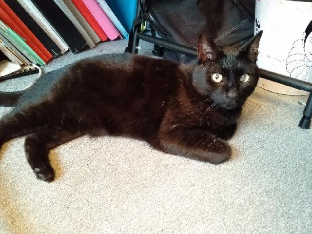 Trouvé Hashtag On Twitter