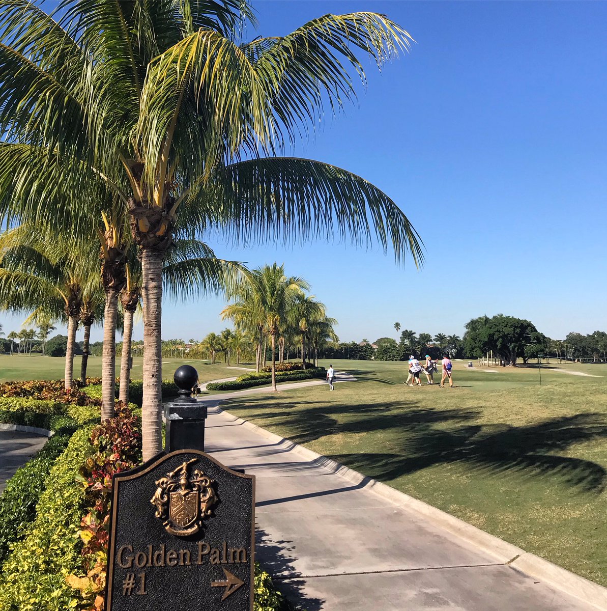 PGATAmericasESP's tweet photo. Ronda 3 del #ShellChamp se está jugando en twosomes este sábado en la cancha Golden Palm de #TrumpDoral.
It’s #MovingDay and another beautiful day ☀️ at Trump Doral’s #TheGoldenPalm. Players are paired in twosomes in Round 3 of the season-ending #ShellChamp. https://t.co/pgBJiBWPpa