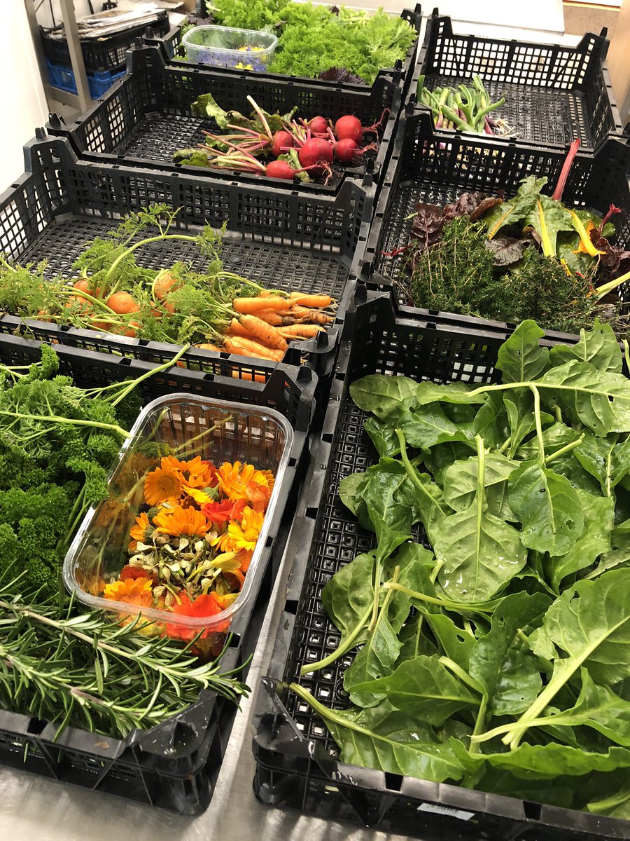 SarkHotel's tweet photo. It may be the winter season but we are still harvesting some fantastically fresh local produce from the Hôtel organic permaculture garden 🥗
#SarkIsland #eatlocal #organicfood #SarkFresh #Permaculture https://t.co/WrjTgKuEr7