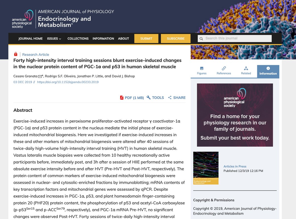 AJPEndoMetab's tweet image. Blunted mitochondrial adaptations post training; NEW by @triatciccio @DrJonLittle @BlueSpotScience and others; for details: physiology.org/doi/abs/10.115… #enduranceexercise #HIIT #p53 #exercise #skeletalmuscle #PGC1alpha