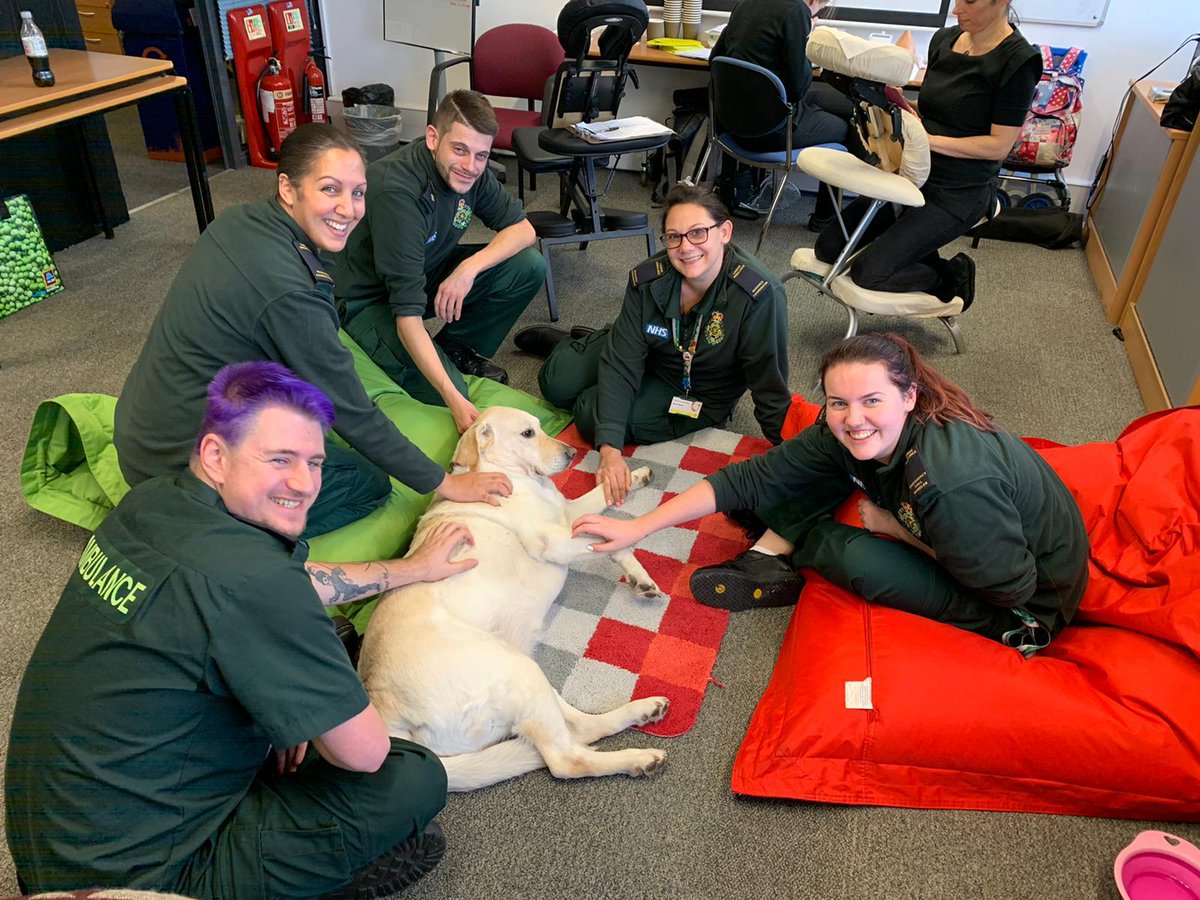 Ldn_Ambulance's tweet photo. Working in the emergency services can sometimes be a stressful job, so today we welcomed volunteer therapy dogs, Skye and Diesel, into our 999 control rooms.

The dogs help boost the wellbeing of our hardworking staff - and just look at the smiles on everyone's faces. https://t.co/A6plXnh4Cr