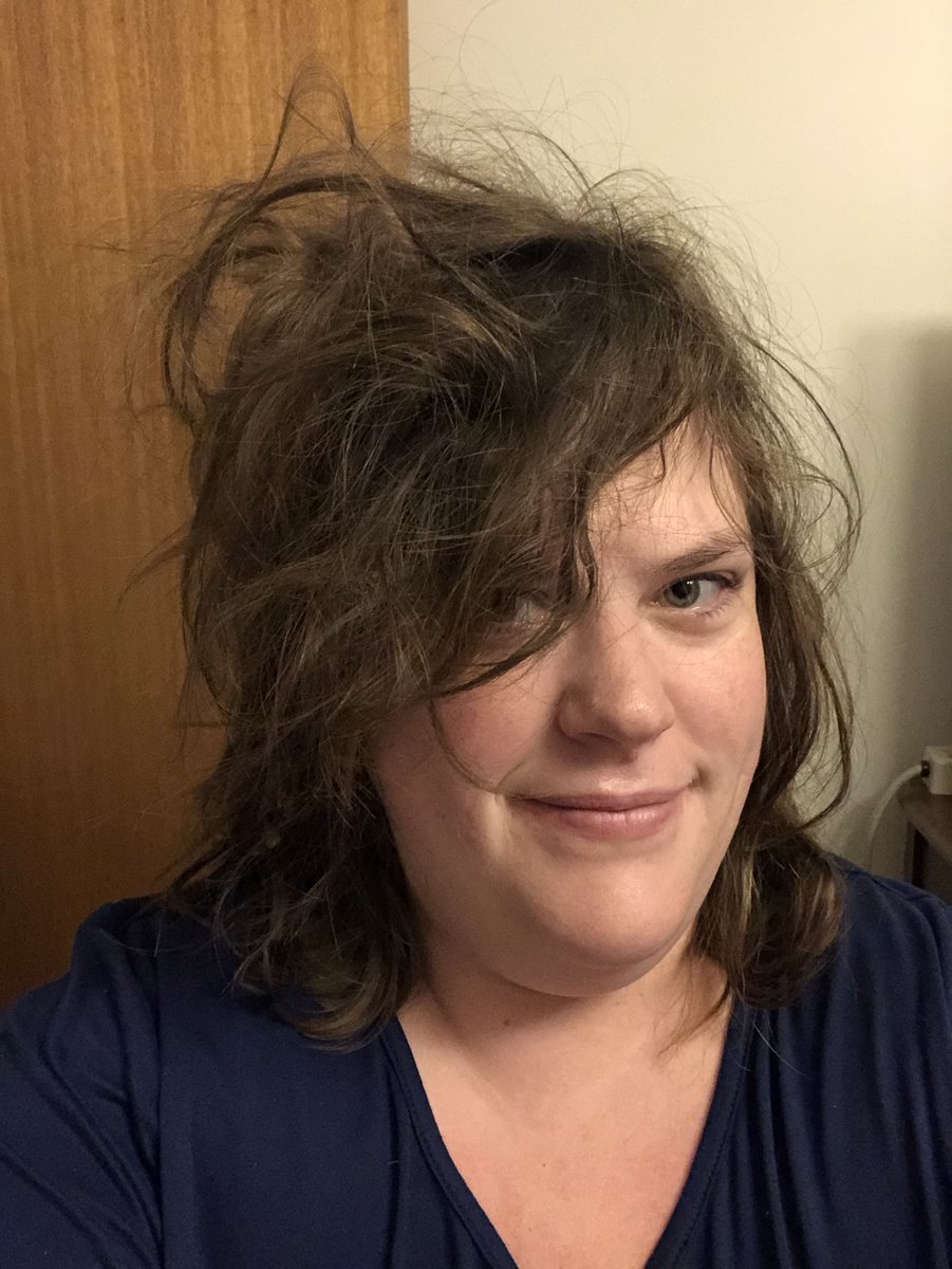 I think you should wear your hair like this everyday hoomum! I take great pride in my work as your midnight hairstylist! - Gadget #CatsOfTwitter #PanfurSquad #MidnightHairstylist