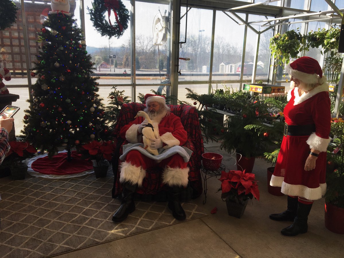 Jim McCullar tweet media