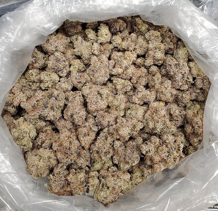 pablobuds's tweet photo. Text/Wa +1(323)250-3209 #420

#420life
#710
#blunt
#bong
#bud
#cannabis
#cannabiscommunity
#cannabisculture
#dabs
#dank
#ganja
#ganjagirls
#high
#highlife
#highsociety
#hightimes
#instaweed
#joint
#kush
#marijuana
#maryjane
#medicalmarijuana
#mmj
#pot
#420life https://t.co/HdenRK4aPz