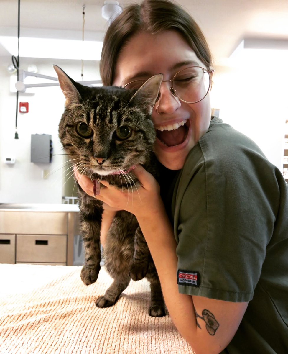 ACCSRMcKinney's tweet photo. Happy #Caturday ya’ll!! https://t.co/tgaBZy2seV