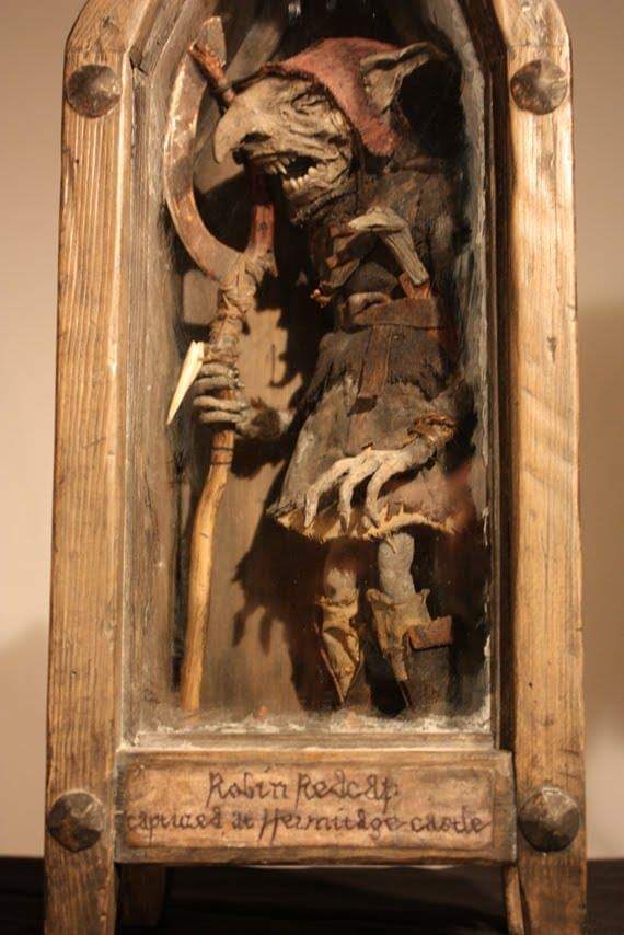 Into The Forest Dark tweet media