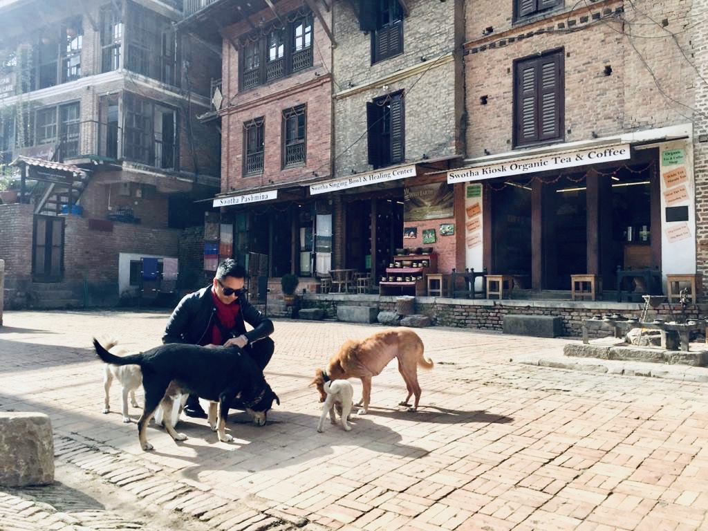 Street Dogs Feed My Soul elkwang.com/2019/12/07/str…