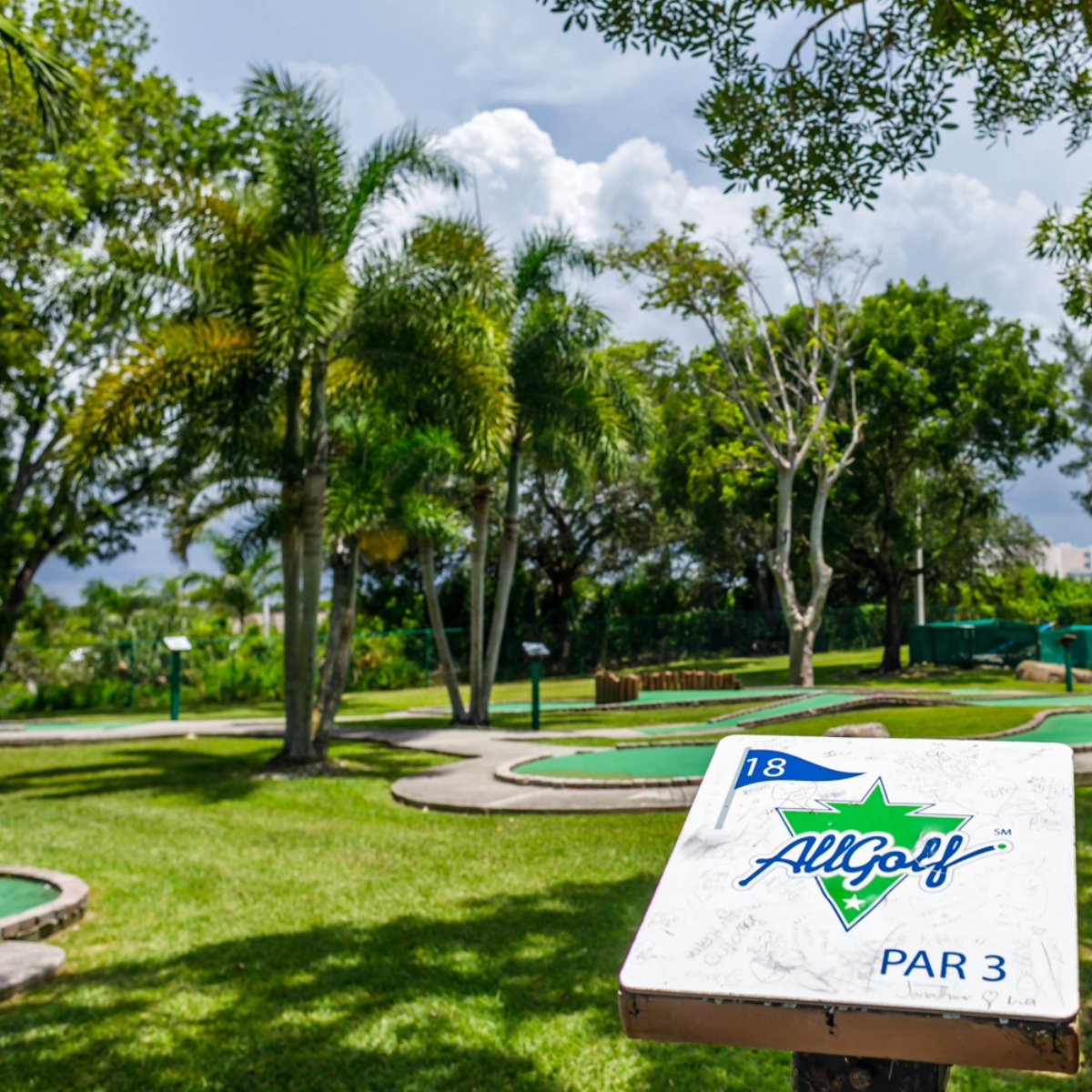 If you're looking to have all the fun, you're looking for AllGolf.