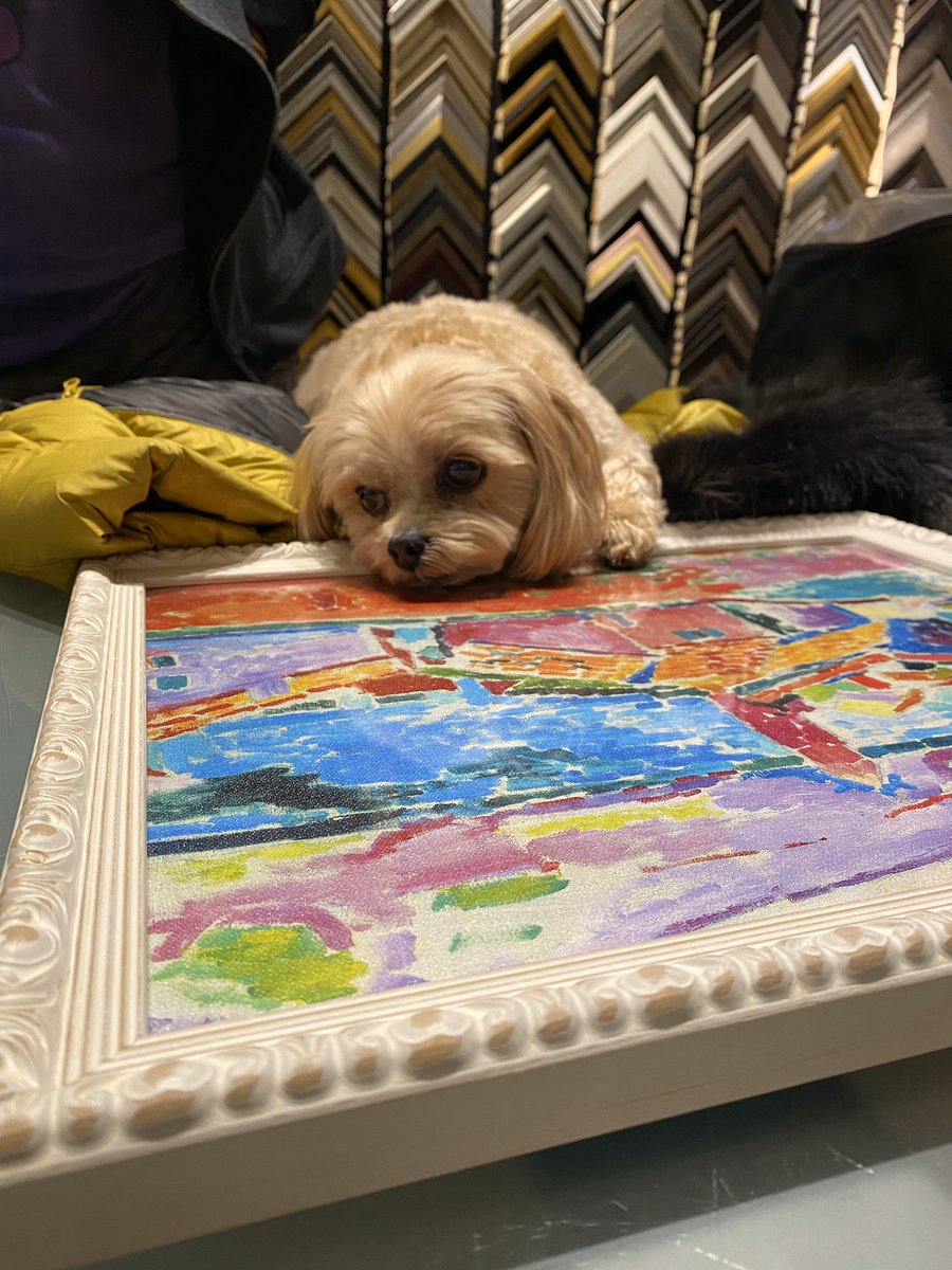 dimensionscf's tweet photo. Cash knows exactly where to go when it comes to #customframing 😉

#frames #framingTO #artgalleries #picoftheday #cutedogs #instapic https://t.co/IfkAl5Xb3U