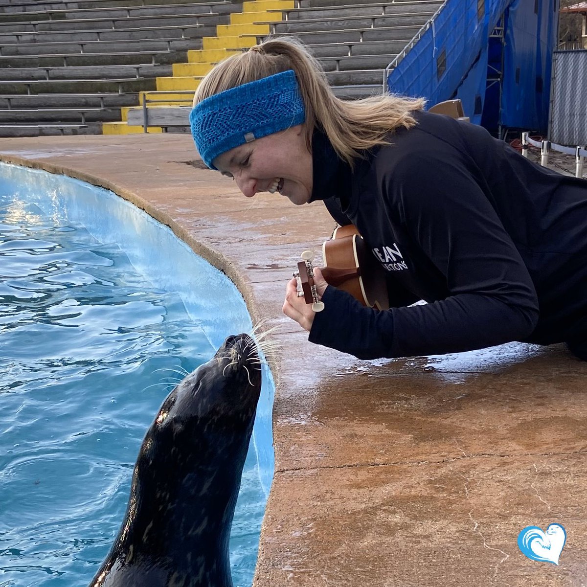 TheOceansTeam's tweet photo. Nothing like a Saturday serenade! Our animals enjoy various types of enrichment on a daily basis. This provides mental and physical stimulation by adding items to their environment that encourage them to use their senses! https://t.co/X5Z5MCX152