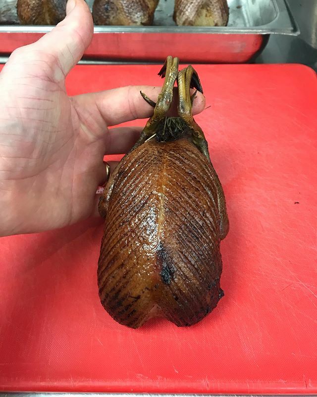 logiskmat's tweet image. The bird with the coolest name of em all. (Common) Golden eye 👁 ift.tt/38iPKer