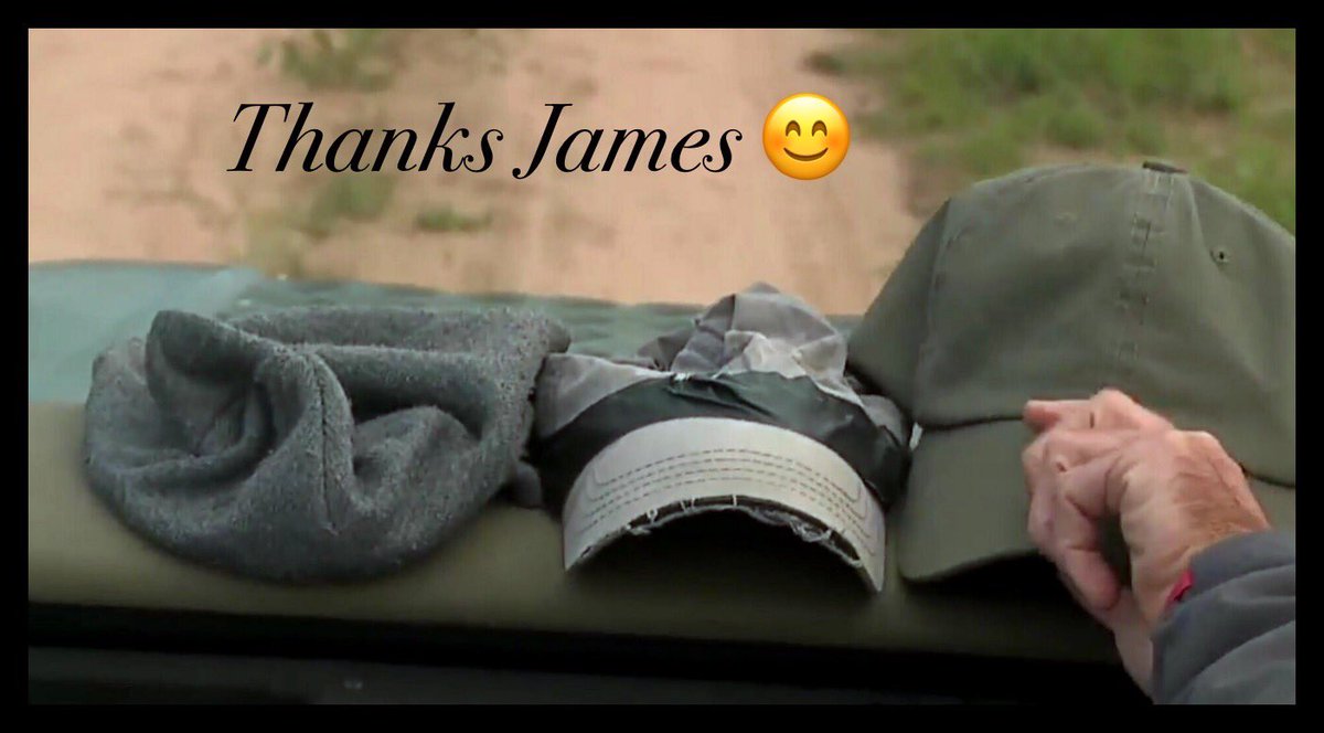 heygecko's tweet photo. “Goodbyes are only for those who love with their eyes, because for those who love with heart and soul, there is no such thing as separation.” ~Rumi. Will hopefully see you again on the interwebs, somewhere, sometime. All the best ⁦⁦@JamesRAHendry⁩ 💕🐾 #WildEarth https://t.co/5BTXPEdUXG