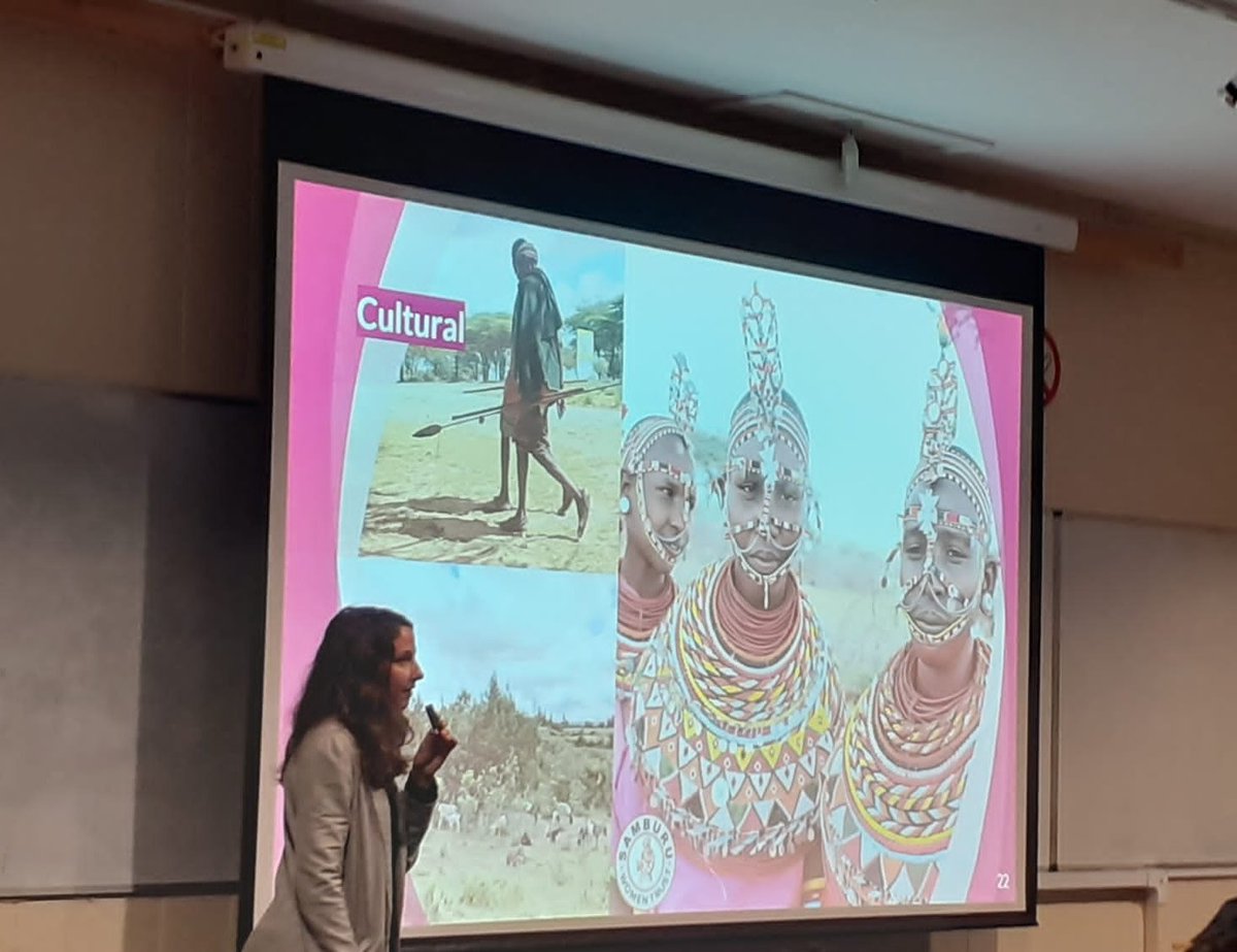 CSRIatLSTM's tweet photo. Experiences from fieldwork in Samburu - physical, security, cultural &amp; community barriers, &amp; some elephants thrown in for good measure..@AnnaTrelfa shared the challenges of fieldwork today at #VenomDay2019. #snakebite #publichealth #epidemiology @CSRIatLSTM @NIHRresearch @K_SRIC https://t.co/xe3n8GO97y