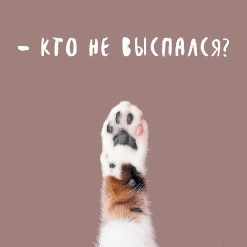 Бубботнее..😕😄😄😄