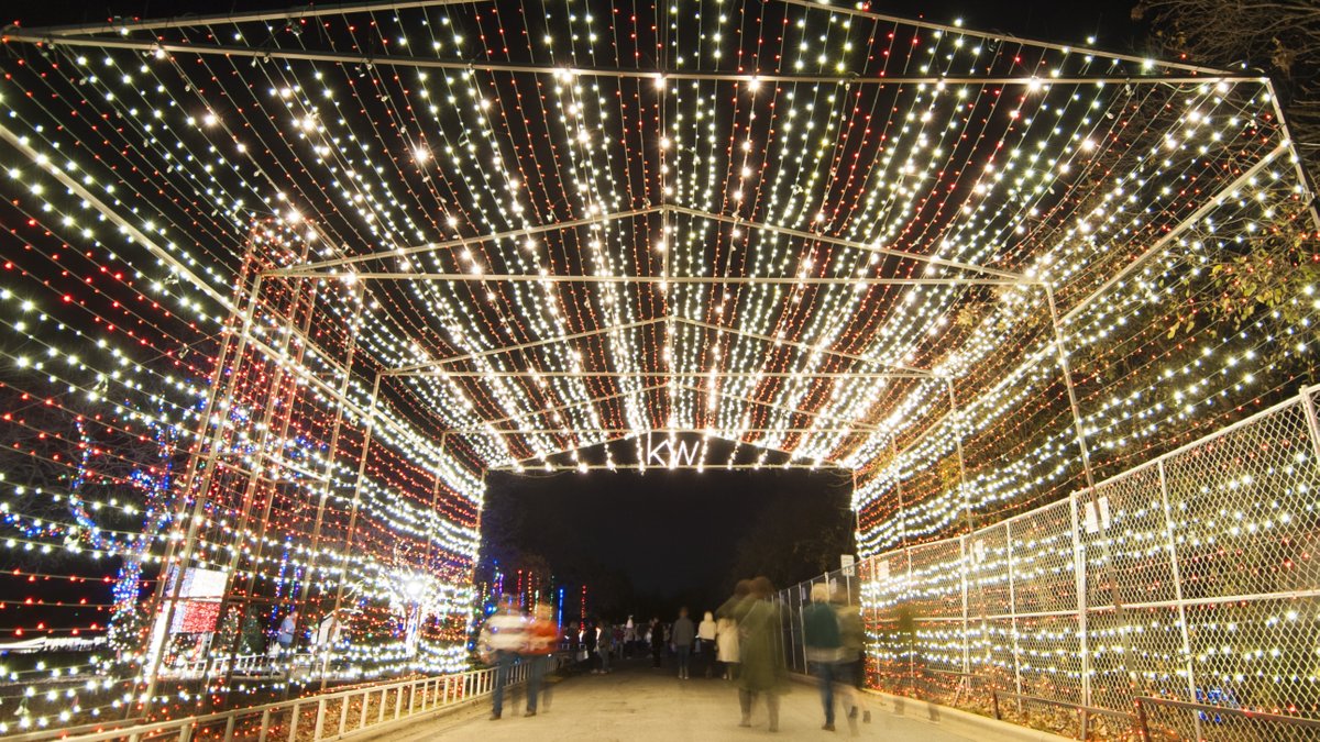 KVUE's tweet photo. We sure do love the @ATXLights and #ZilkerTree 😍 The grand opening of the trail is Tuesday, but in the meantime, check out these awesome photos by KVUE's John Gusky. MORE: https://t.co/0PxLnUj4yw #Austin #ATXLights https://t.co/f5hZmHH0BA