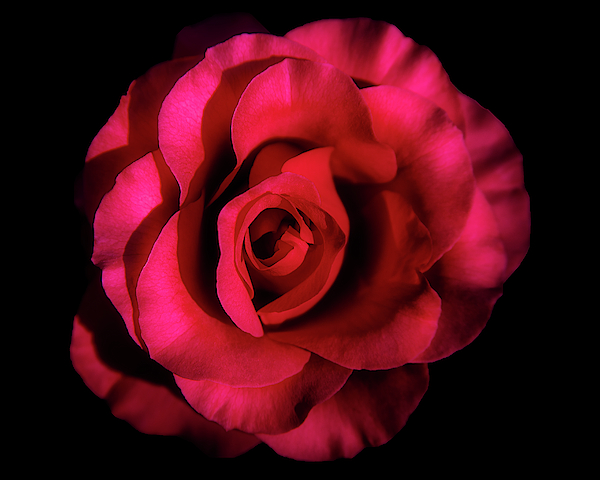 MyPhotoAdvntur's tweet photo. New artwork for sale! - "Deep Emotions" - https://t.co/OSXqBdPJDN @fineartamerica https://t.co/GAHuoCJ39u