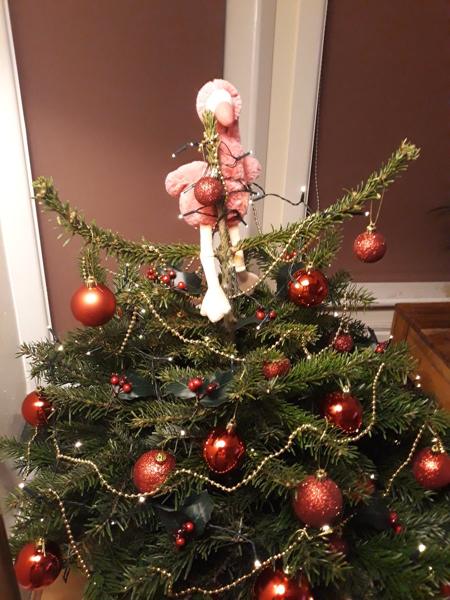 Annie Davies tweet media