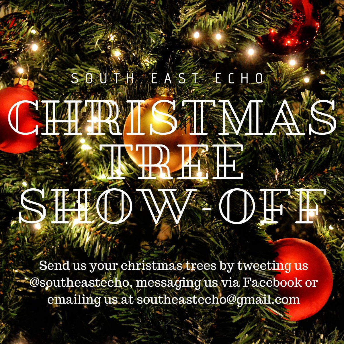southeastecho's tweet image. Only 18 days until #Christmas! Send us your trees for our Christmas Tree Showoff 🎄🎄🎄