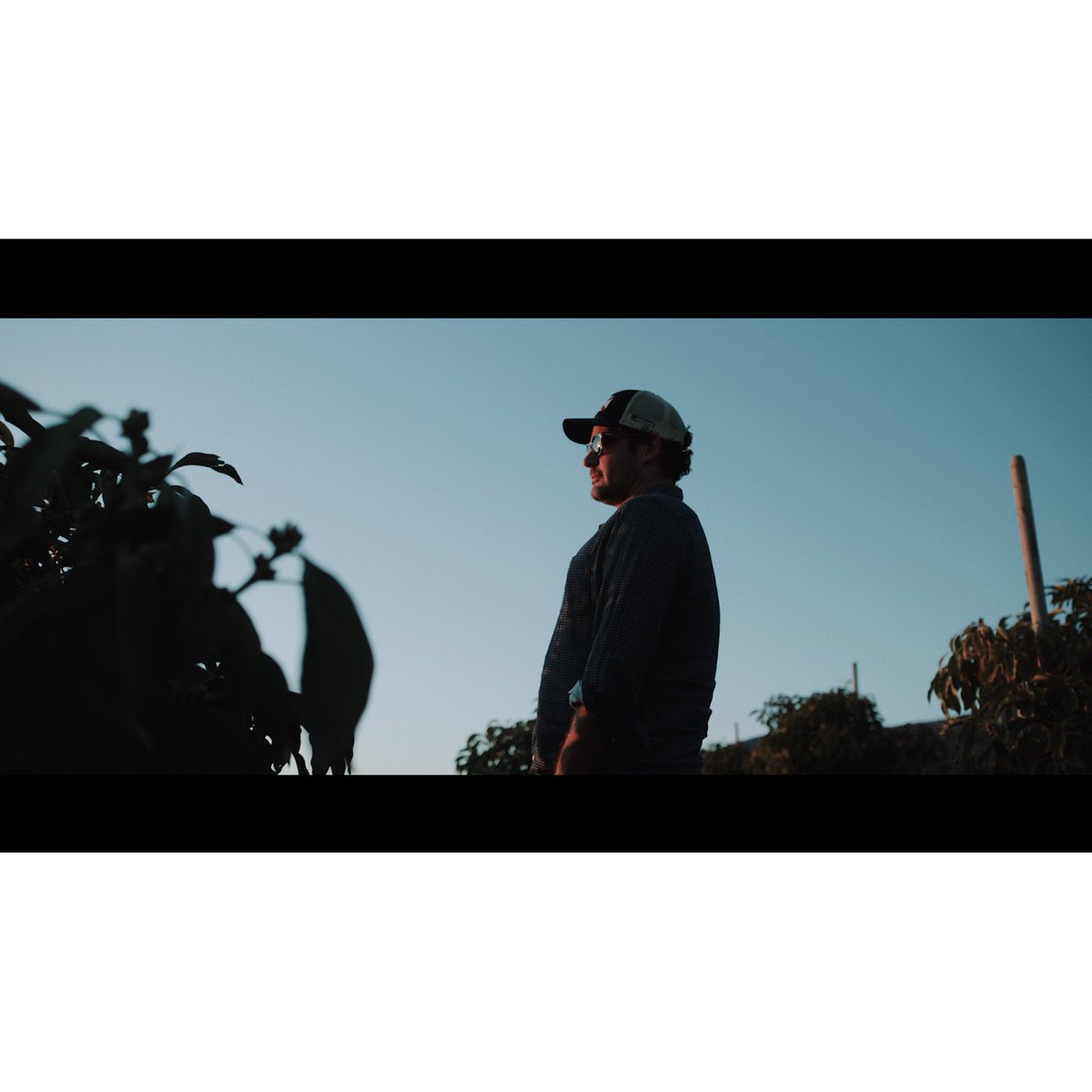 An avocado farmer who also surfs 🤙 <a href="/agamerica/">AgAmerica</a> <a href="/IAFilms/">Indie Atlantic Films</a> #farmer #documentary #frames #film