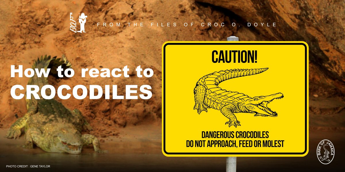 14. Regard crocodiles with as much respect as fear. Remain calm and retreat if you see one. Stay clear of rivers and swamps known for crocodiles in the breeding season of March to August, especially at night. Do not dump garbage or other refuse in rivers, swamps or on beaches...