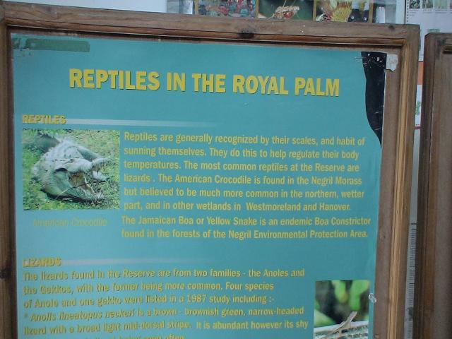 20...They fertilize swampland vegetation, and the holes and burrows they dig during breeding season and later abandon provide refuge and water for other swampland animals in times of drought...