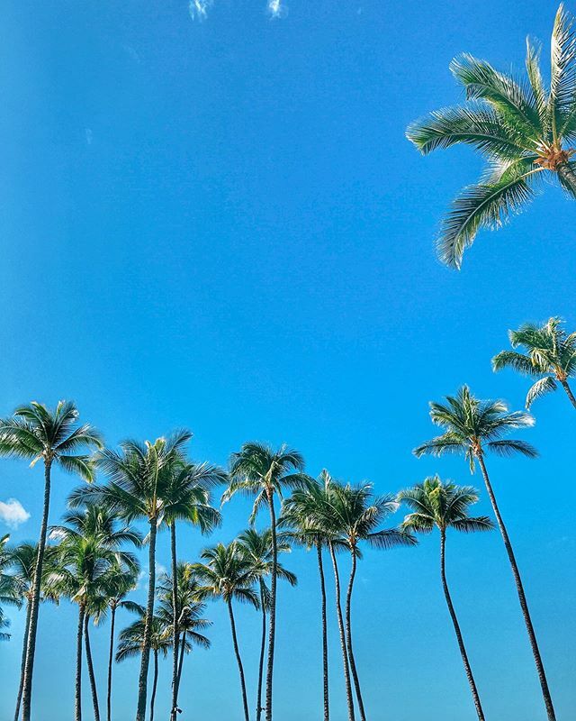 _themodestones's tweet photo. Big Island vibes 🏝 https://t.co/vfZZ5t7Luy https://t.co/sb2prZFSdh