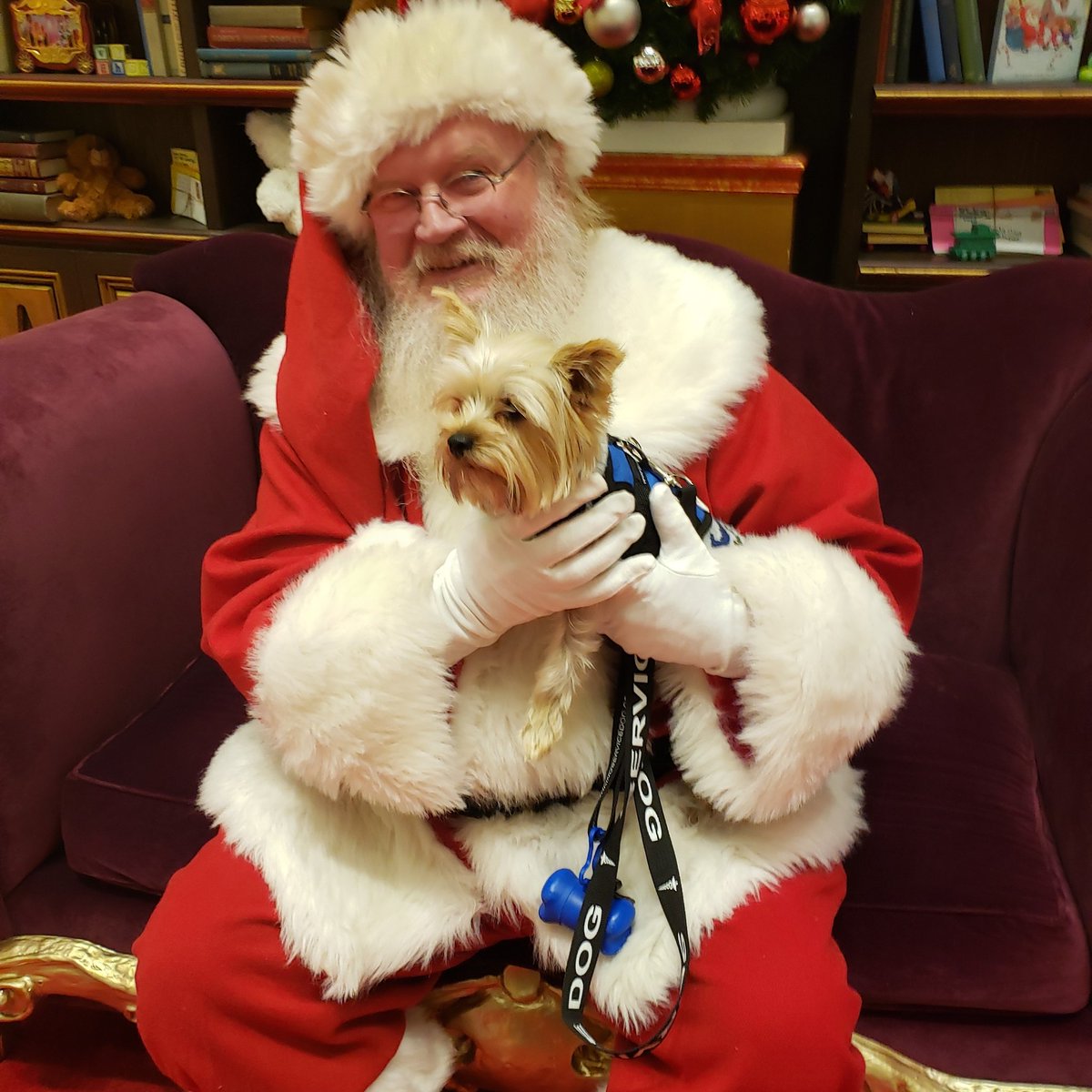 HeapsJeremy's tweet image. 