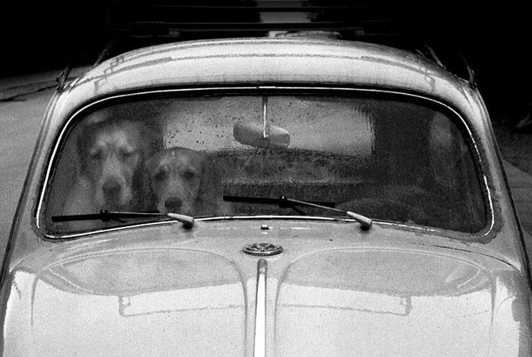 Germano Rossi, The Waiting Game