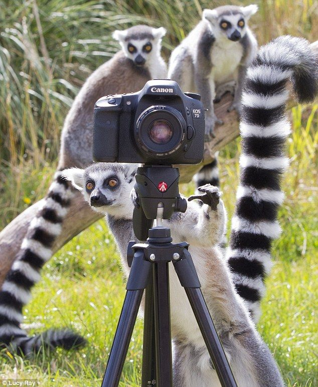 Voici ce qui se cache derrière la caméra de vos streamer @Anymal