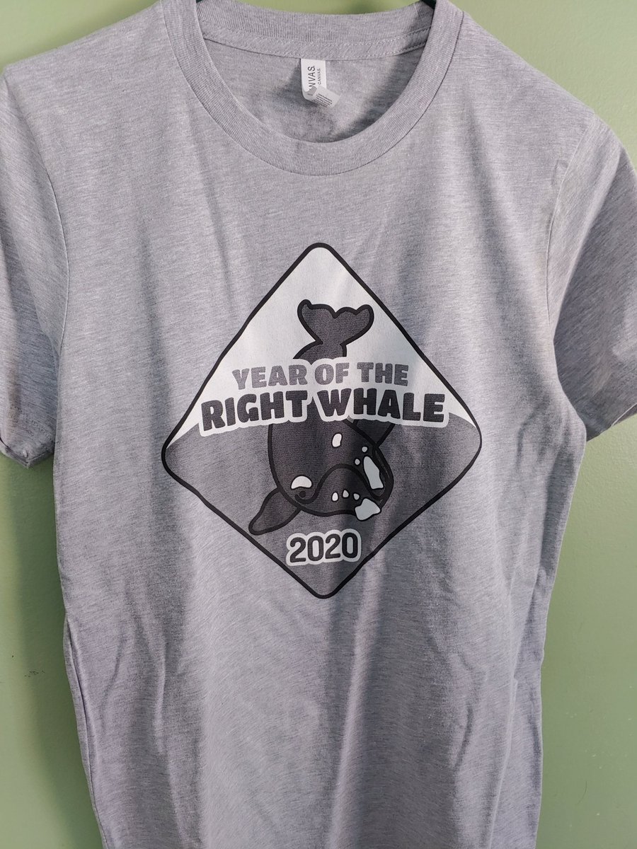 BlueOceanSoc's tweet photo. Packing up some @YORW2020 shirts to take to #WMMC19! Come see us in Barcelona if you want to buy one to support the project. Check out our Booth in a Box talk Thurs AM! https://t.co/ZW3NVcQv5t