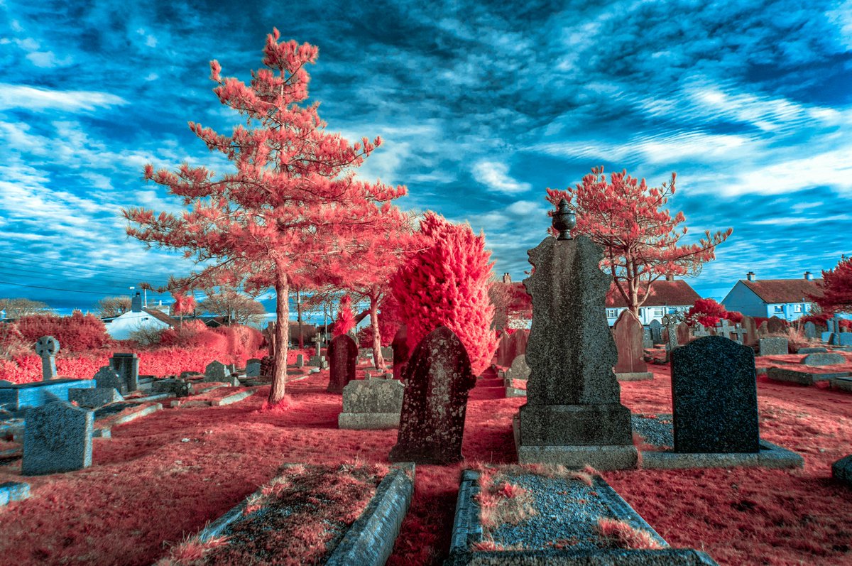 KernowChrome's tweet photo. Madron Cemetery, West Cornwall   #infrared #infraredphoto #infraredphotography #aerochrome #cornwall #ancientsite #madron #cemetery https://t.co/UGIdpAL5X7