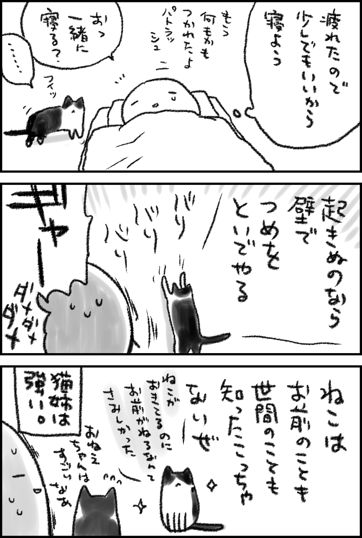 取り敢えず今は仕事している私をそのままに猫達はすやすや布団で寝てますね 