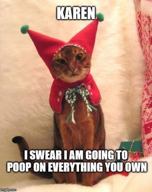 YourDogSmiles's tweet photo. 😹😹😹 https://t.co/j1xJsT5PTy