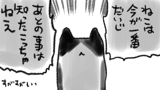 「今、ねこがお水を飲むのをかいぬしが見ていてほしい」とか「今、ねこと一緒に寝てほしい」とか「今、ねこと一緒に起きてそしてなでなでしてほしい」とか、 