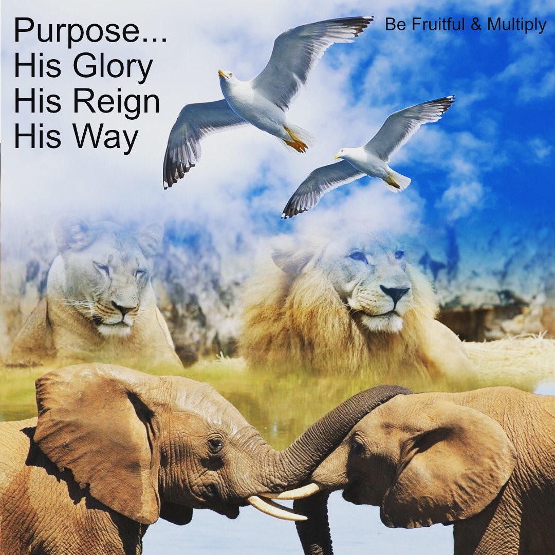 TheRealDSSSR's tweet photo. #quotes  #dailyquotes #lifequotes #faithinspired #manofgod #manoffaith #messageoffaith #onlygod #thewordofgod #godovereverything #godisfaithful #glorytogod #quoteoftheday #faithbased https://t.co/ZoN6Uj9zVQ