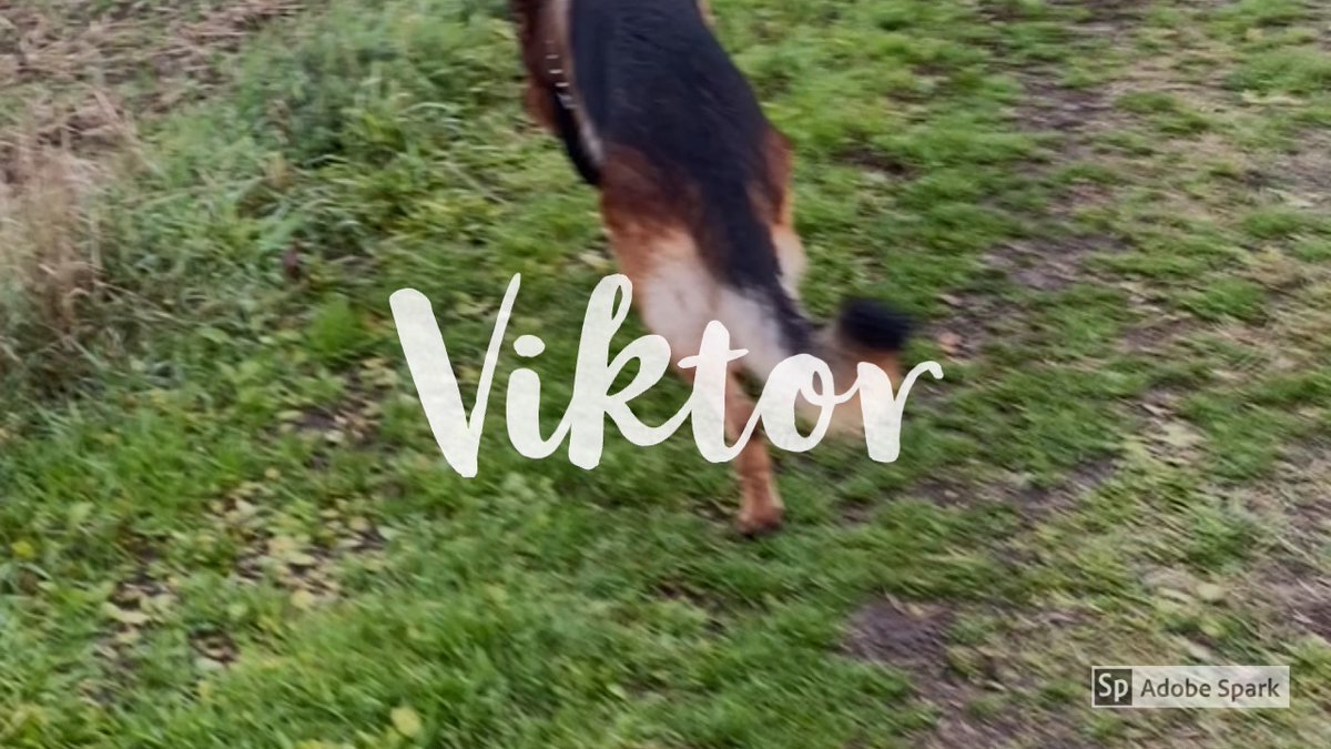 LarsEspenSorte1's tweet photo. Se historien min. #SparkMade https://t.co/hOxcJDP8hY https://t.co/gTPv6mVEQz
