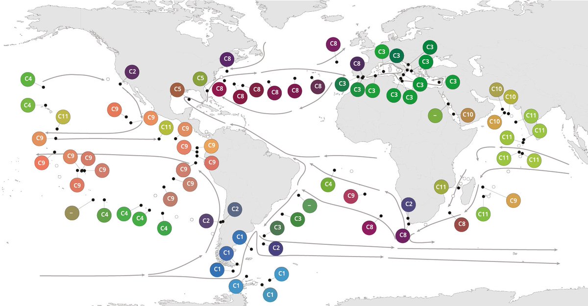 Check out our new preprint on the global genomic biogeography of planktonic viruses, bacteria and eukaryotes <2mm, and how it is shaped by large-scale ocean currents: doi.org/10.1101/867739

Tara Oceans metagenomic &amp; 18S V9 data, distance matrices: doi.org/10.6084/m9.fig…
