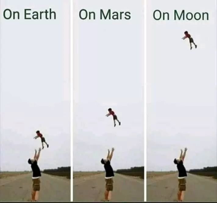 SandraGaliNFT's tweet image. Understand the gravity of the situation... #onearth #onmars #outspace
